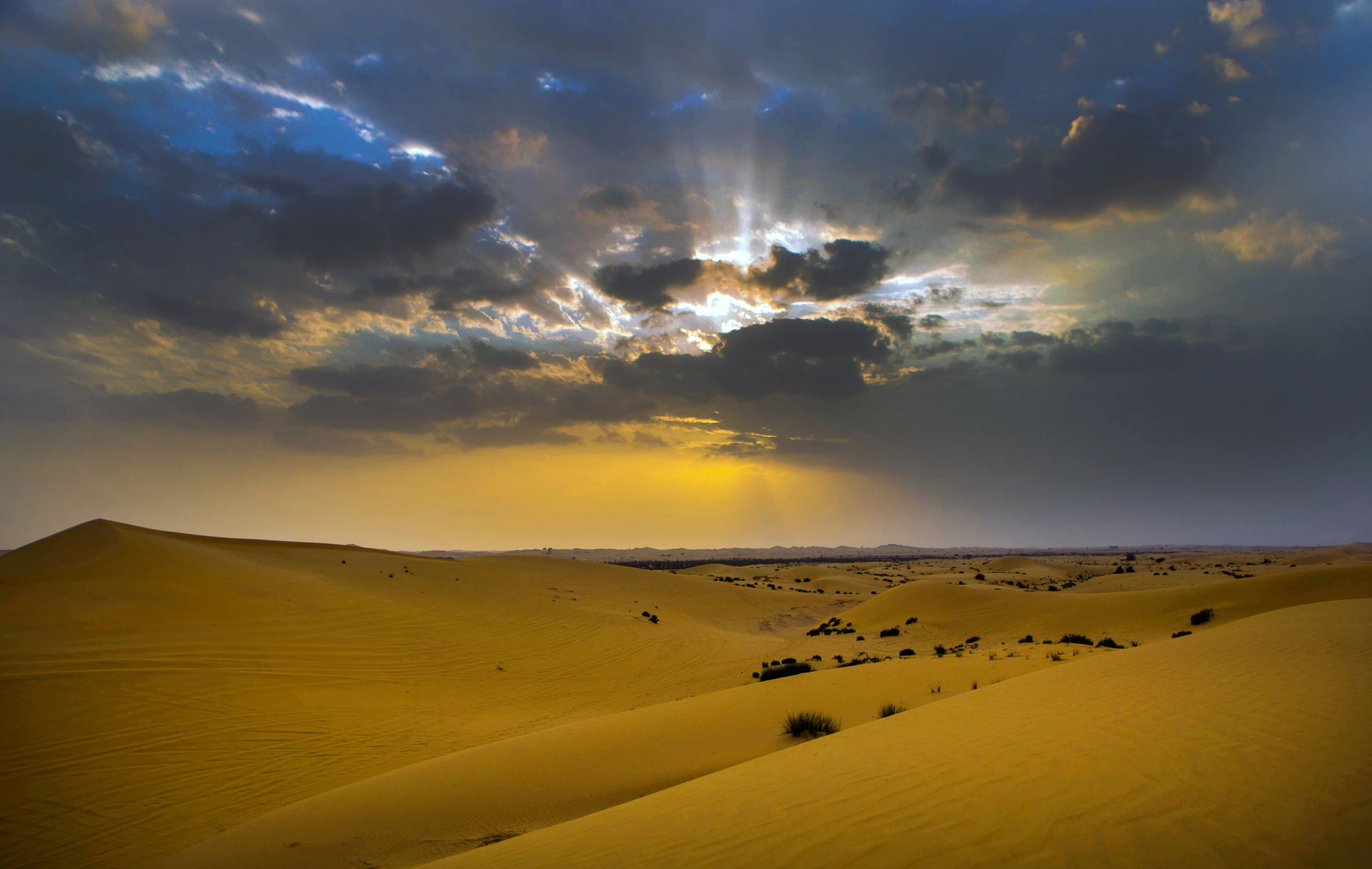 Dubai Desert Safari: Everything You Need to Know Before You Go